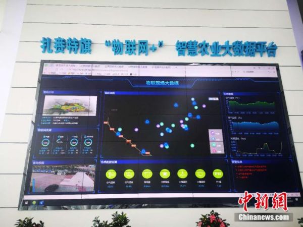 2图为科技服务中心的大数据展示平台。 郎朗 摄